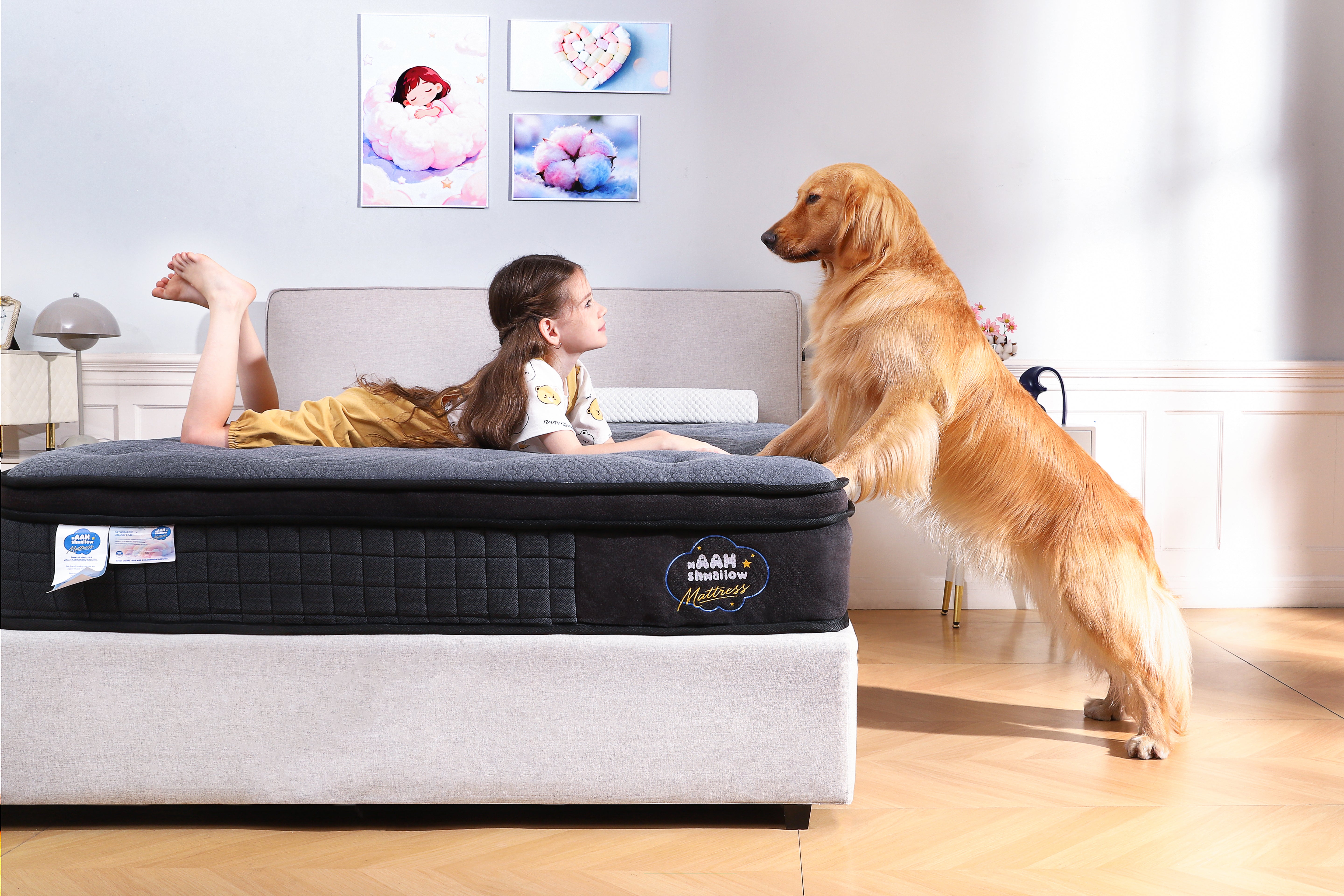 mAAHshmallow mattress