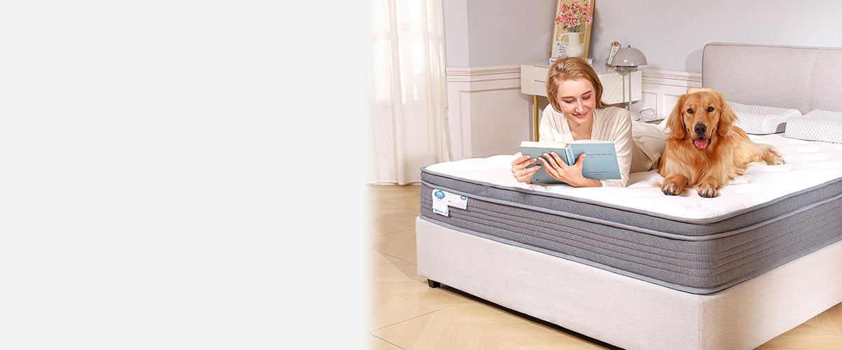 slider image 1621243260e1af0c20-0